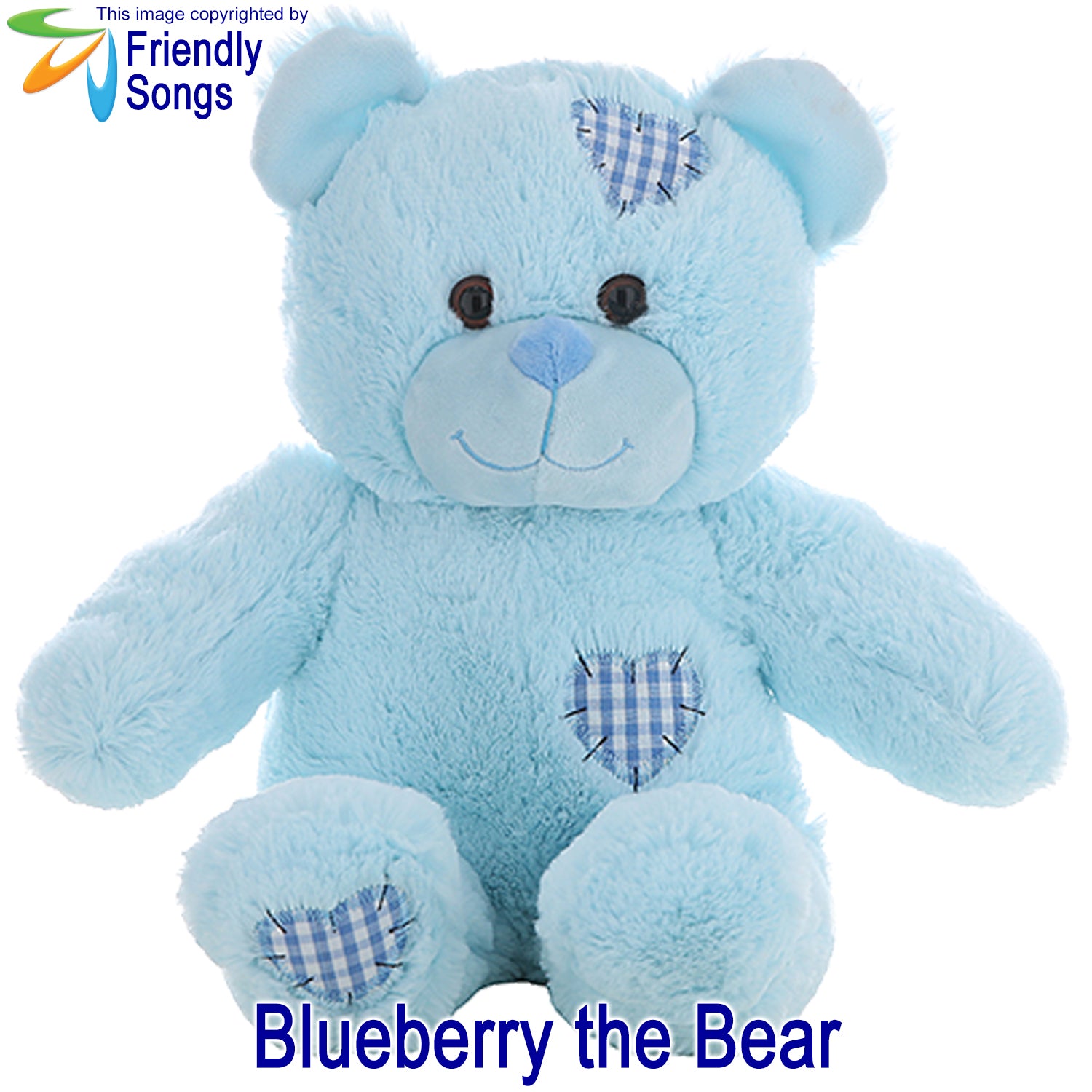 Blueberry the bear soft toy