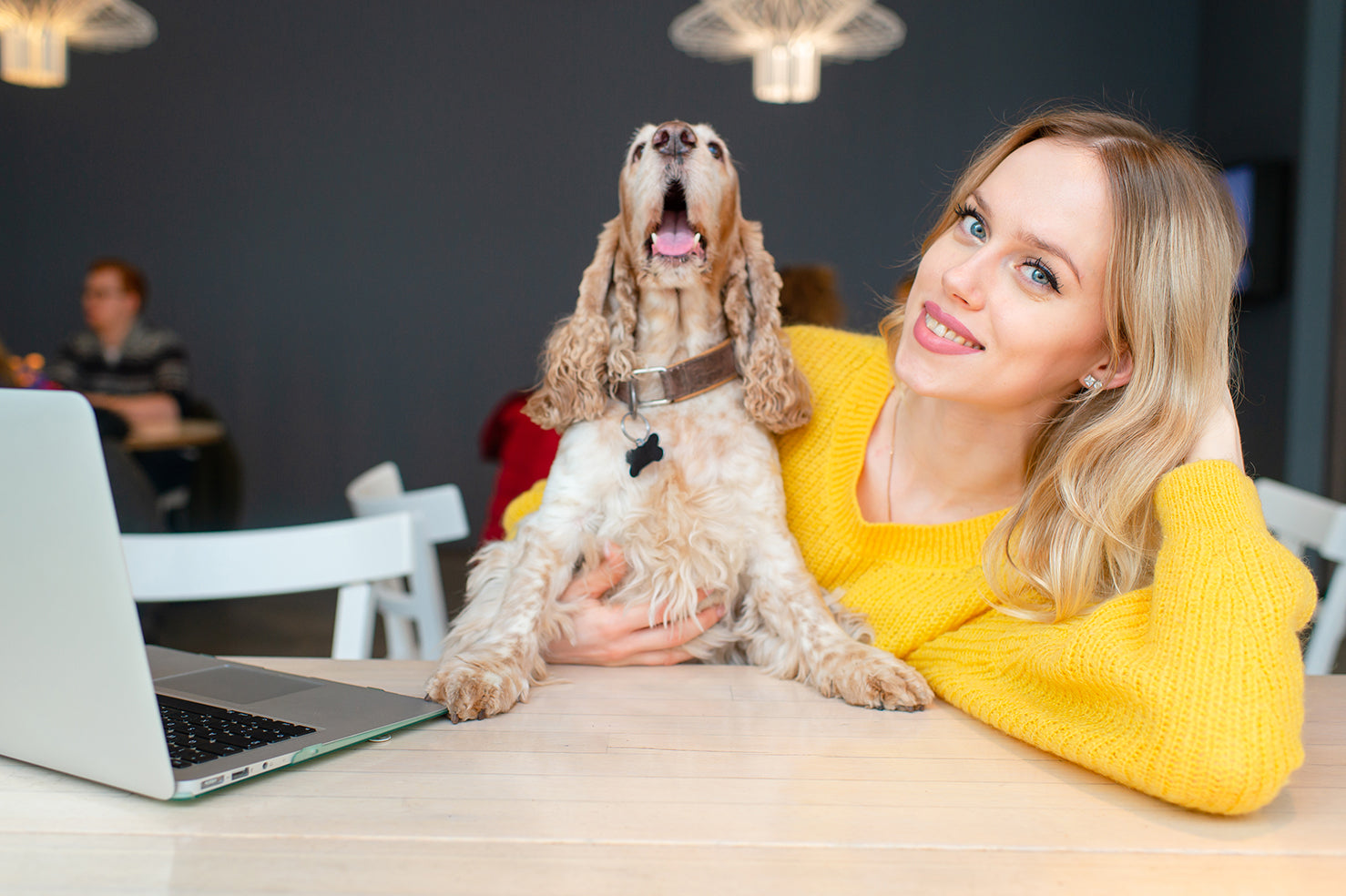 Bringing Pets to Work