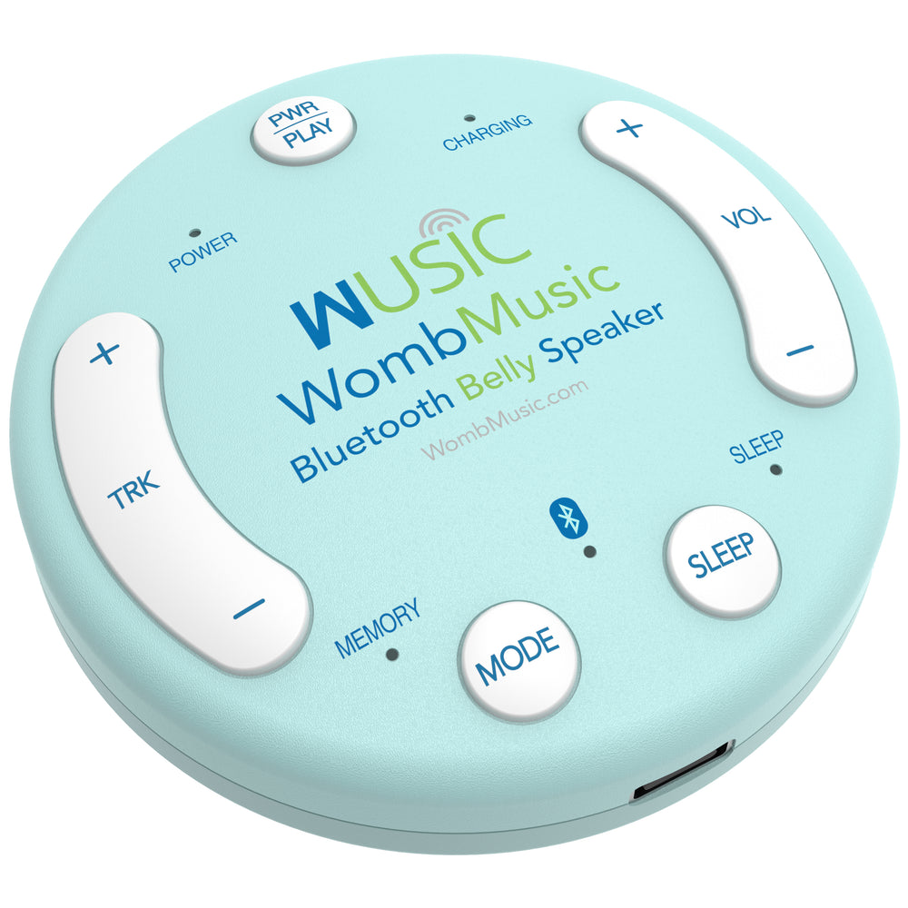 The controls on the Wusic Belly Speaker